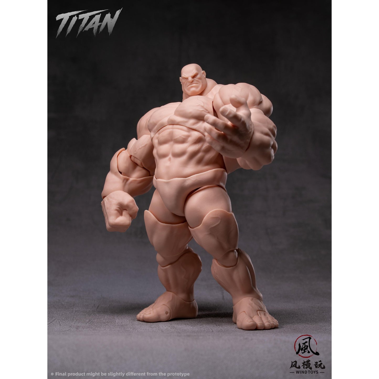 WIND TOYS 1/12スケール 可動フィギュア素体 タイタン FMW009 ノーマル