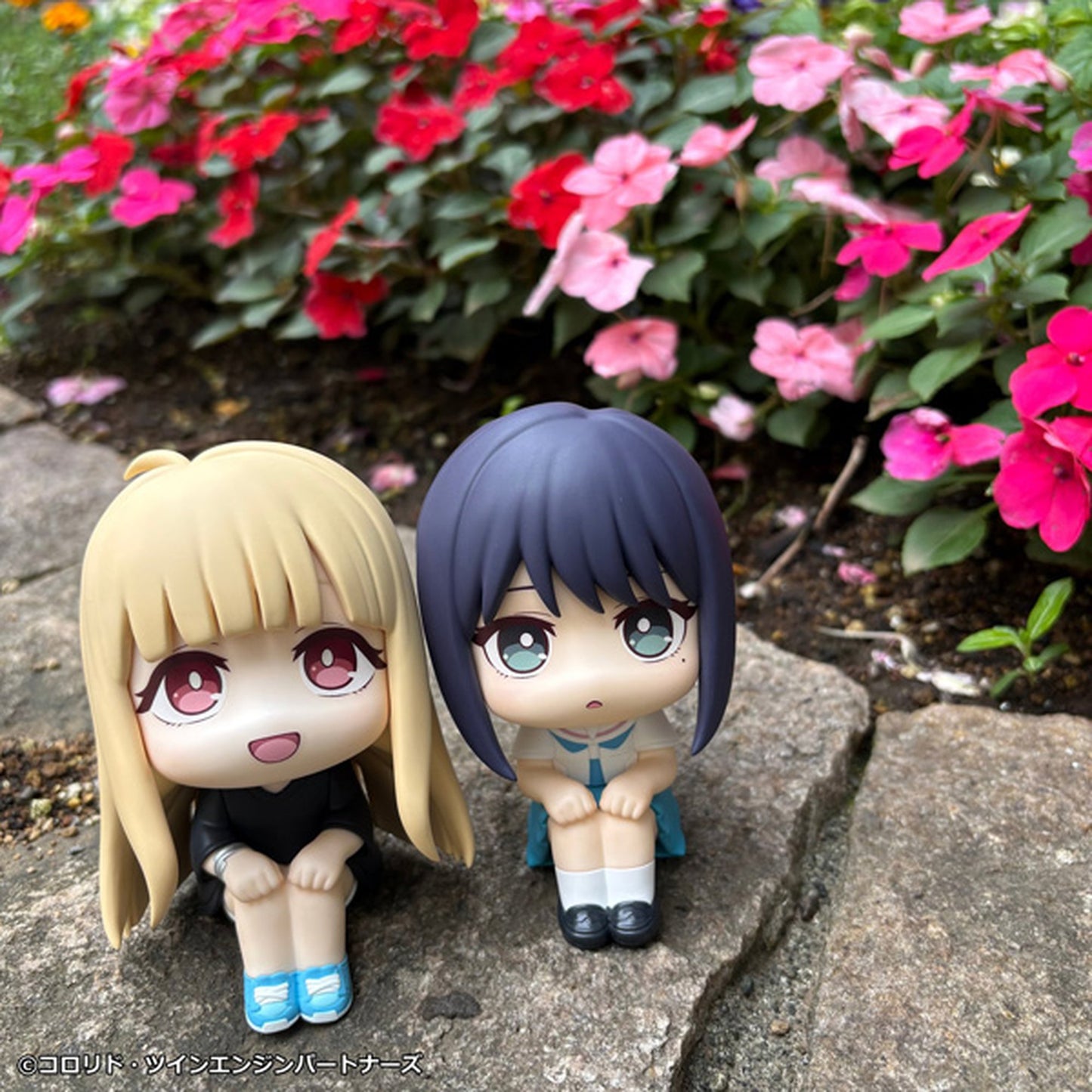 るかっぷ 『超かぐや姫！』 酒寄彩葉