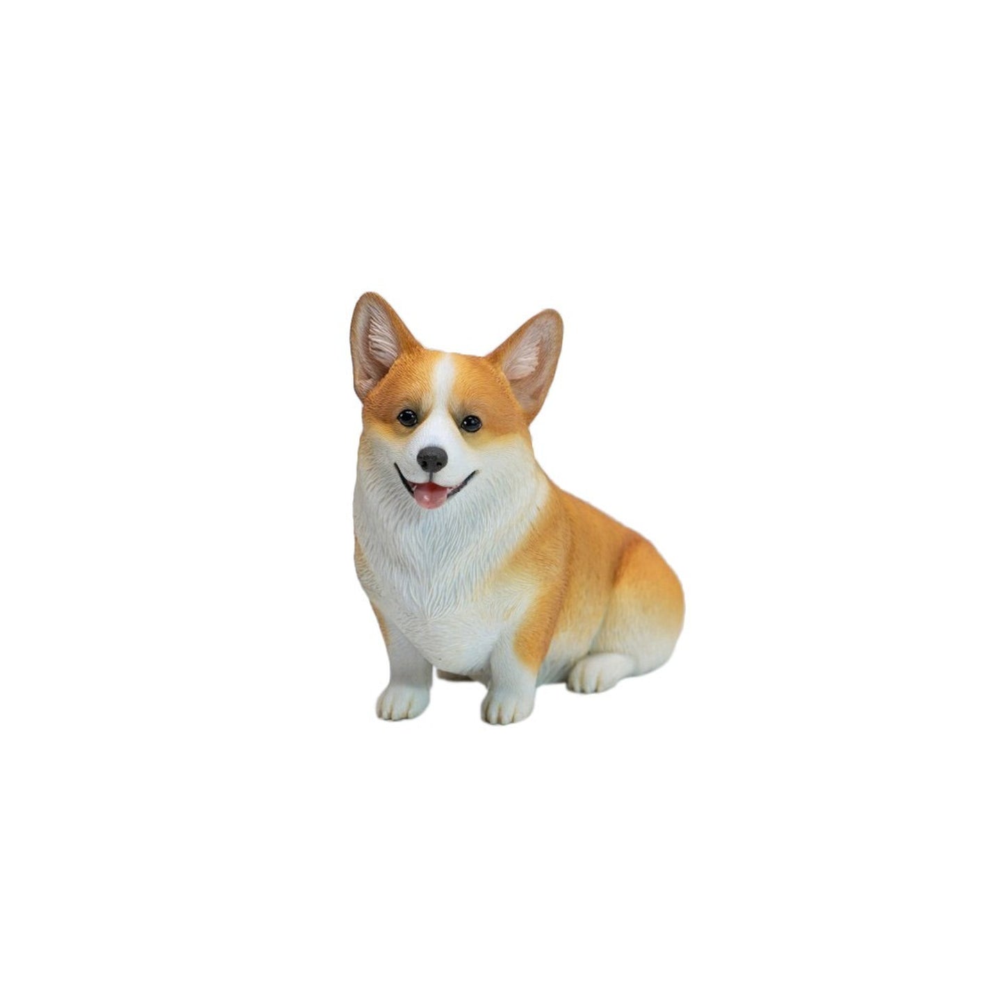 JXKスタジオ お座りコーギー B