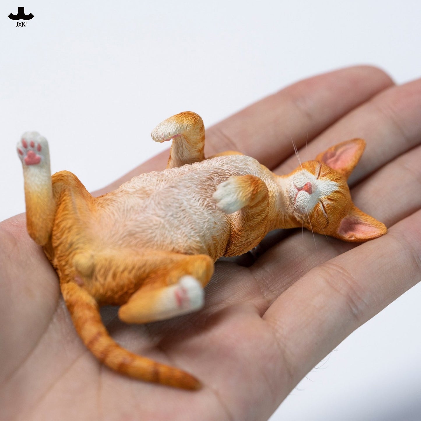 JXKスタジオ くつろぎデボンレックス D