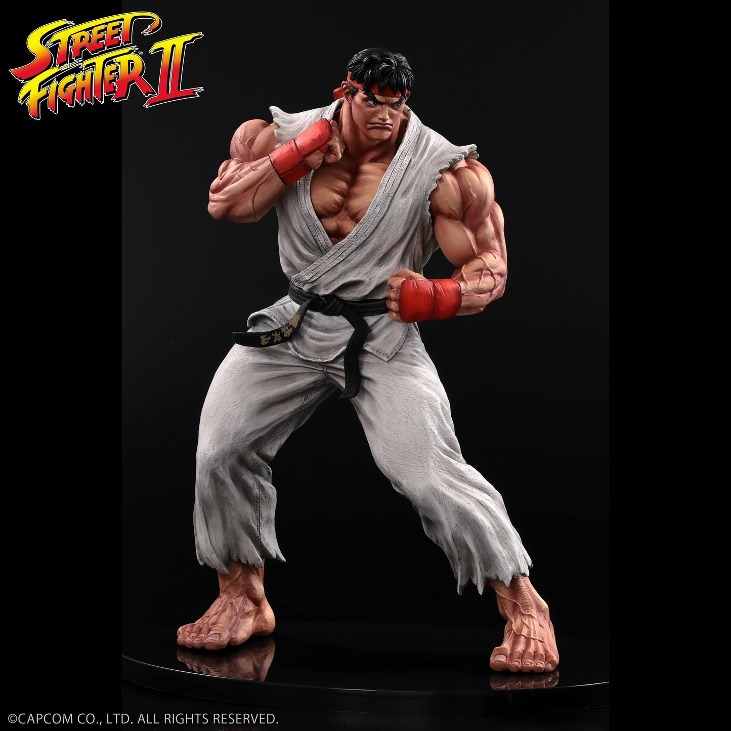 THE KING OF COLLECTORS'24 No.９ 『ストリートファイターII』 「リュウ」（通常カラー）