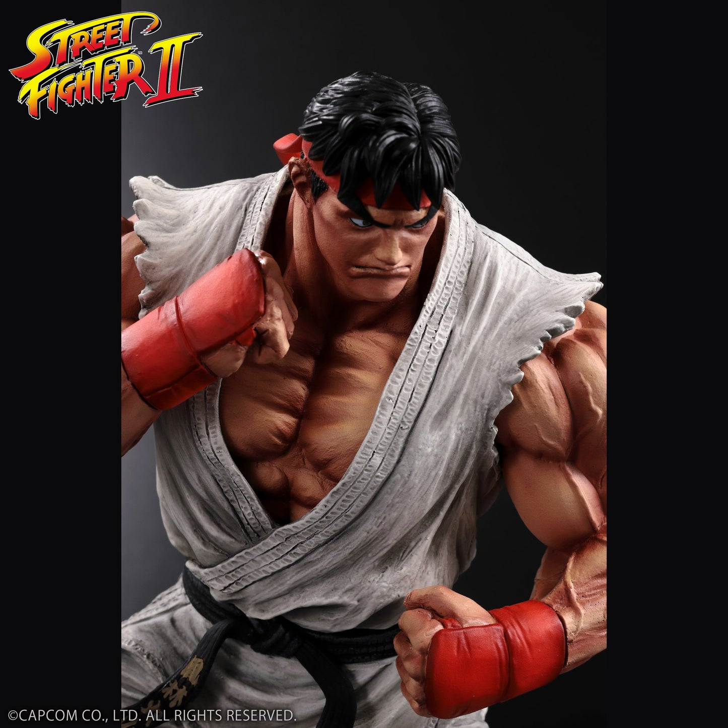 THE KING OF COLLECTORS'24 No.９ 『ストリートファイターII』 「リュウ」（通常カラー）