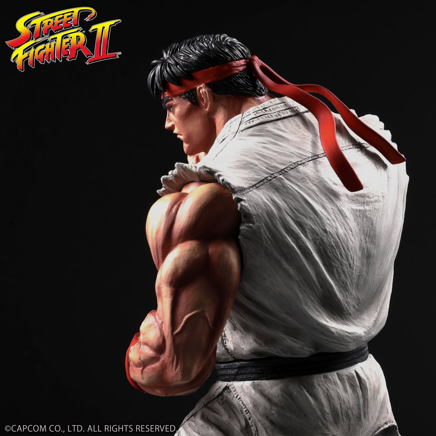 THE KING OF COLLECTORS'24 No.９ 『ストリートファイターII』 「リュウ」（通常カラー）