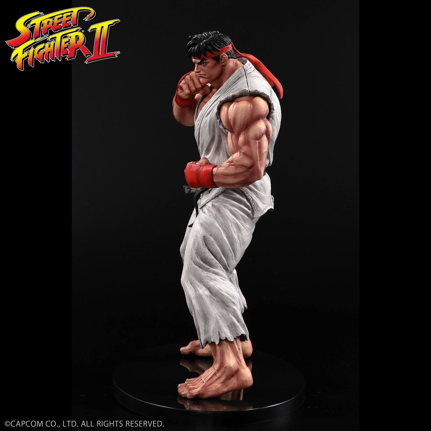 THE KING OF COLLECTORS'24 No.９ 『ストリートファイターII』 「リュウ」（通常カラー）