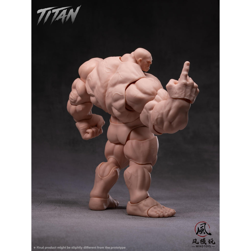 WIND TOYS 1/12スケール 可動フィギュア素体 タイタン FMW009 ノーマル