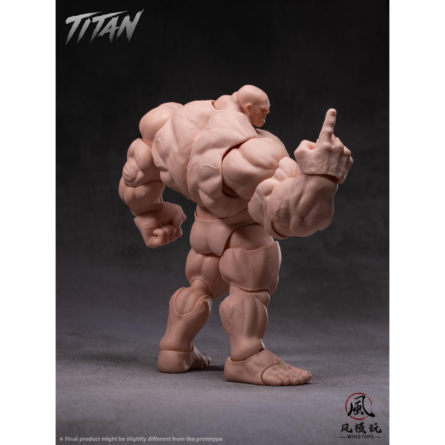 WIND TOYS 1/12スケール 可動フィギュア素体 タイタン FMW009 ノーマル