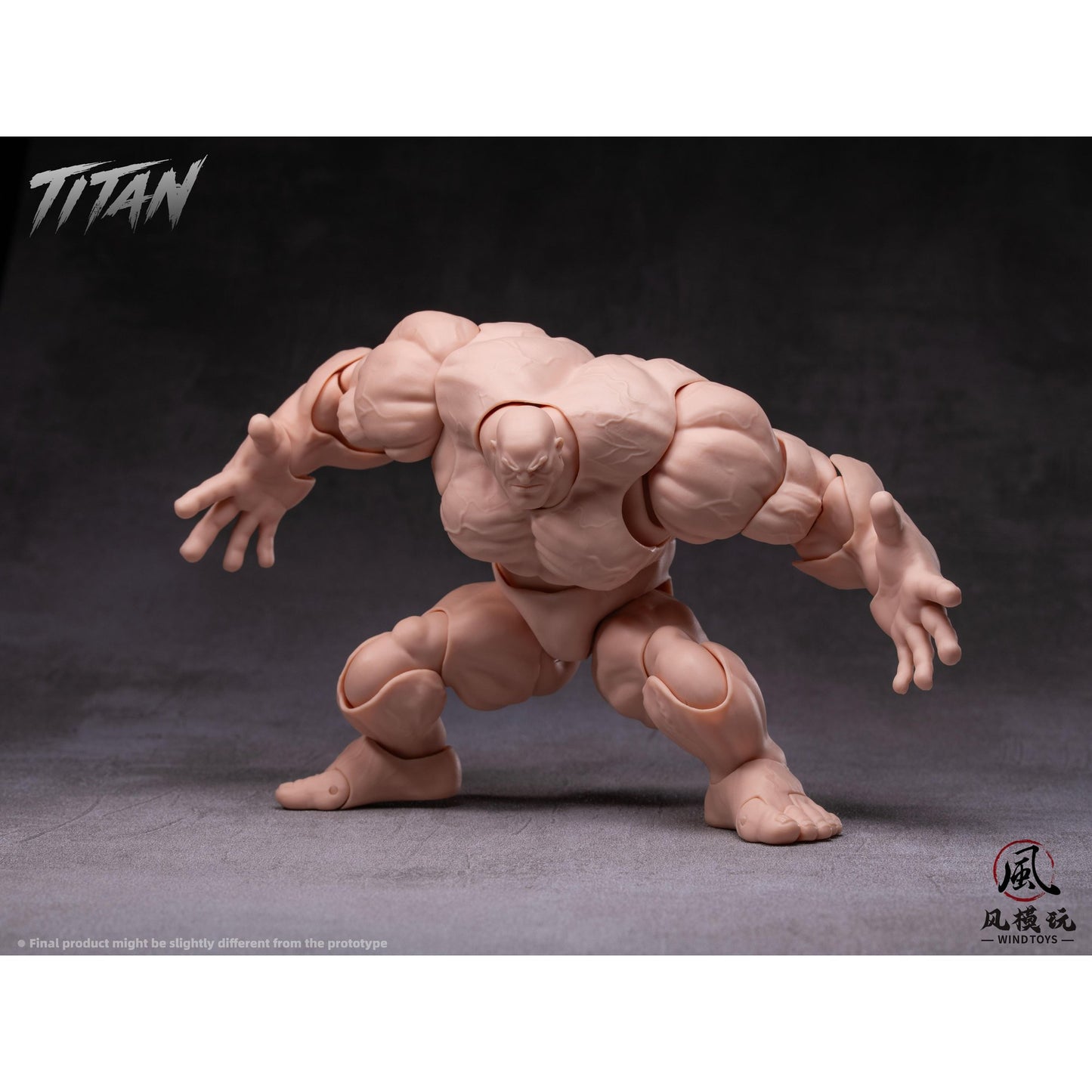 WIND TOYS 1/12スケール 可動フィギュア素体 タイタン FMW009 ノーマル