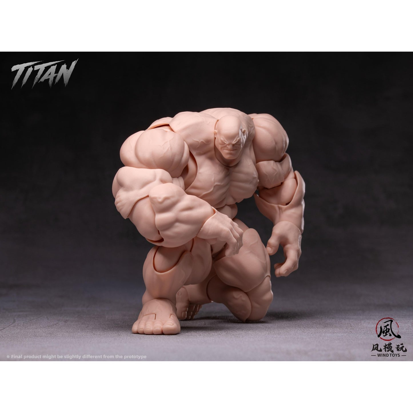 WIND TOYS 1/12スケール 可動フィギュア素体 タイタン FMW009 ノーマル