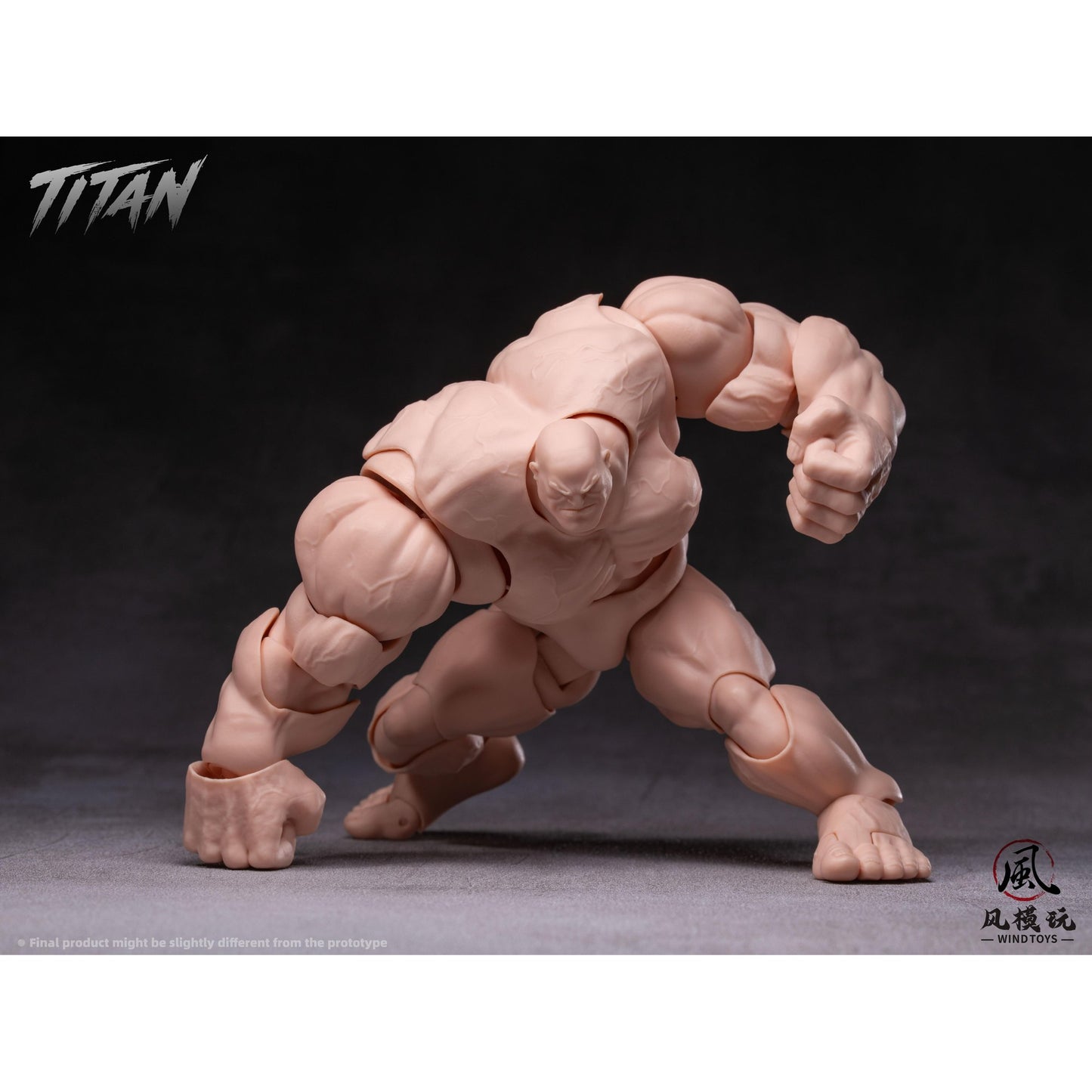 WIND TOYS 1/12スケール 可動フィギュア素体 タイタン FMW009 ノーマル