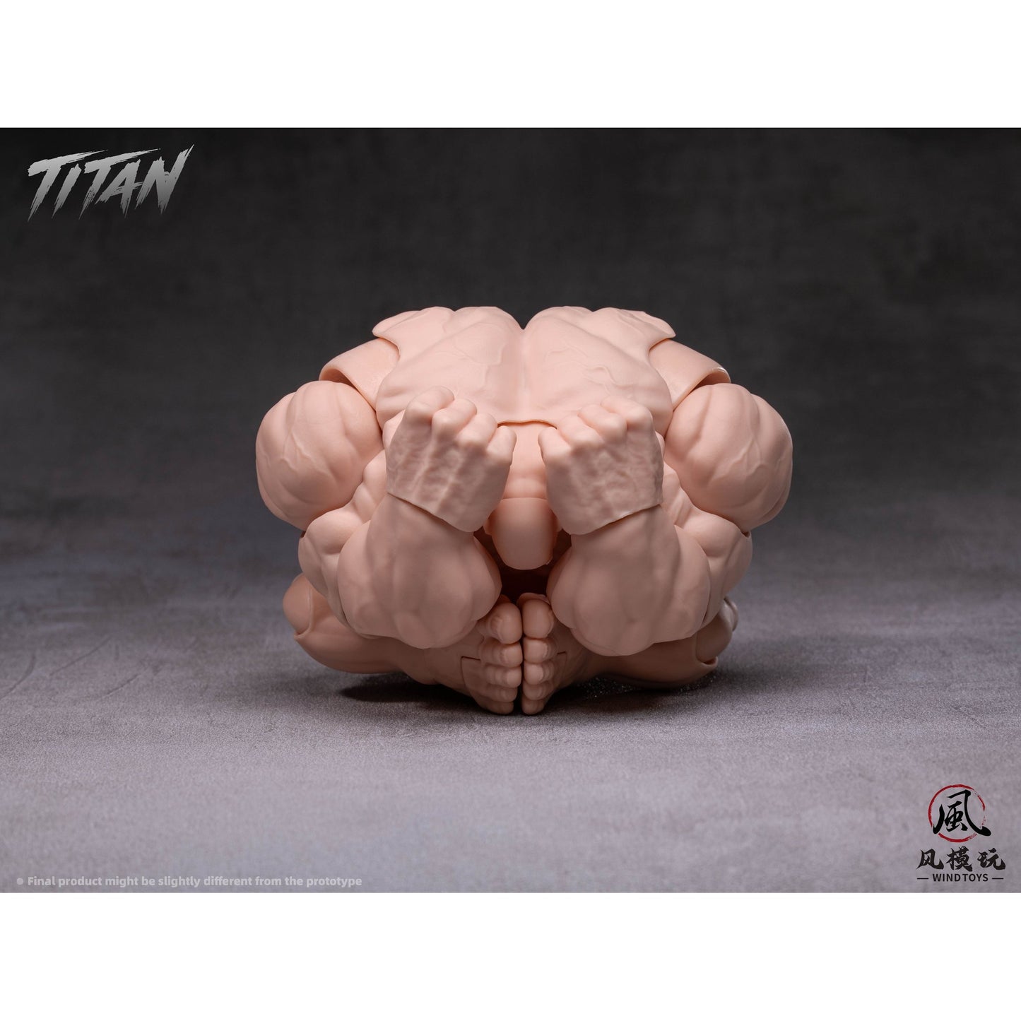 WIND TOYS 1/12スケール 可動フィギュア素体 タイタン FMW009 ノーマル