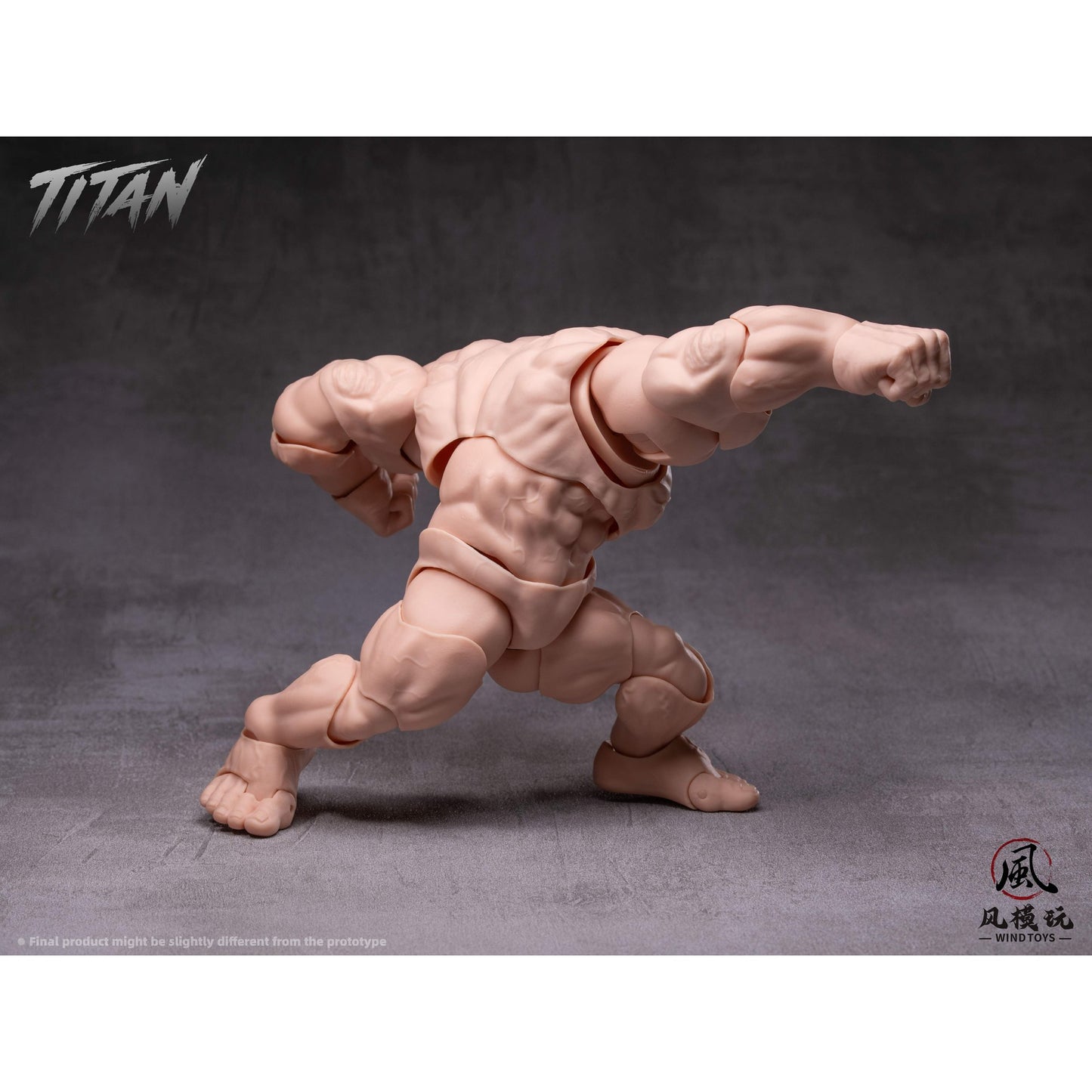 WIND TOYS 1/12スケール 可動フィギュア素体 タイタン FMW009 ノーマル