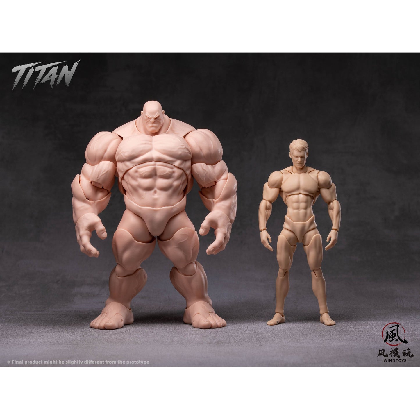 WIND TOYS 1/12スケール 可動フィギュア素体 タイタン FMW009 ノーマル