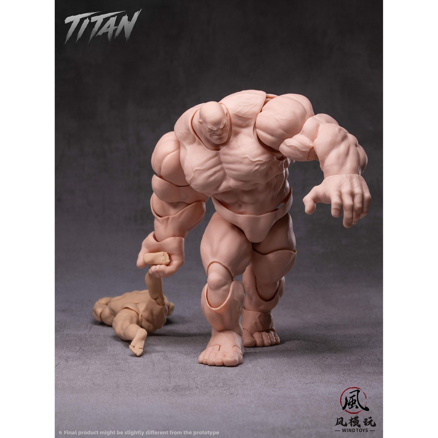 WIND TOYS 1/12スケール 可動フィギュア素体 タイタン FMW009 ノーマル