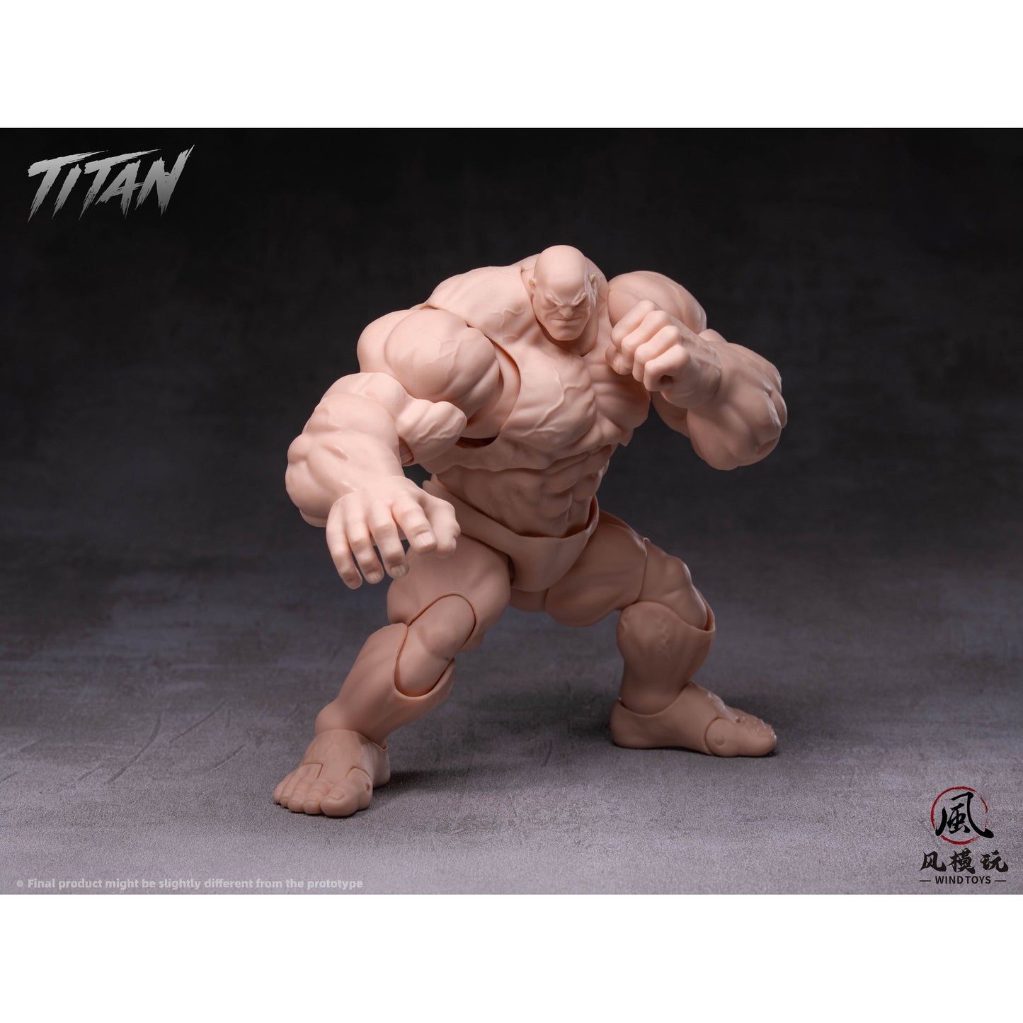 WIND TOYS 1/12スケール 可動フィギュア素体 タイタン FMW009 ノーマル
