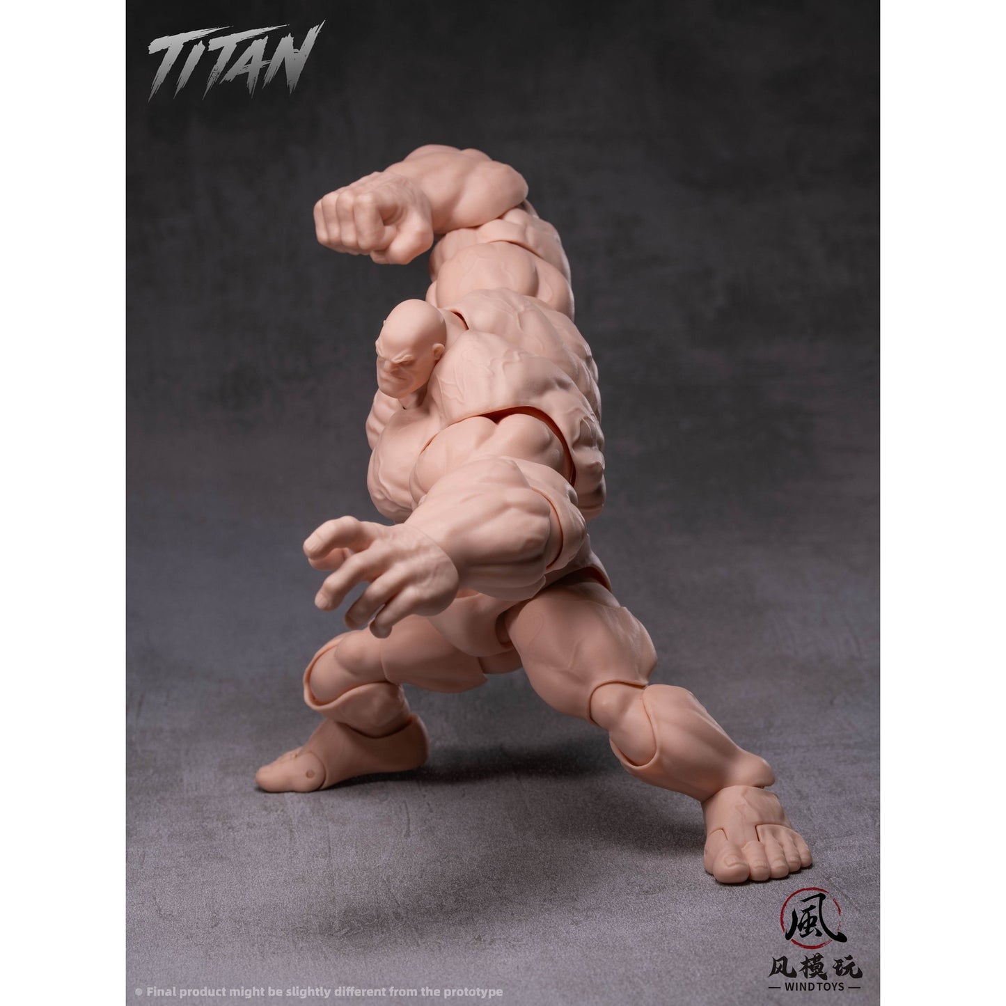WIND TOYS 1/12スケール 可動フィギュア素体 タイタン FMW009 ノーマル
