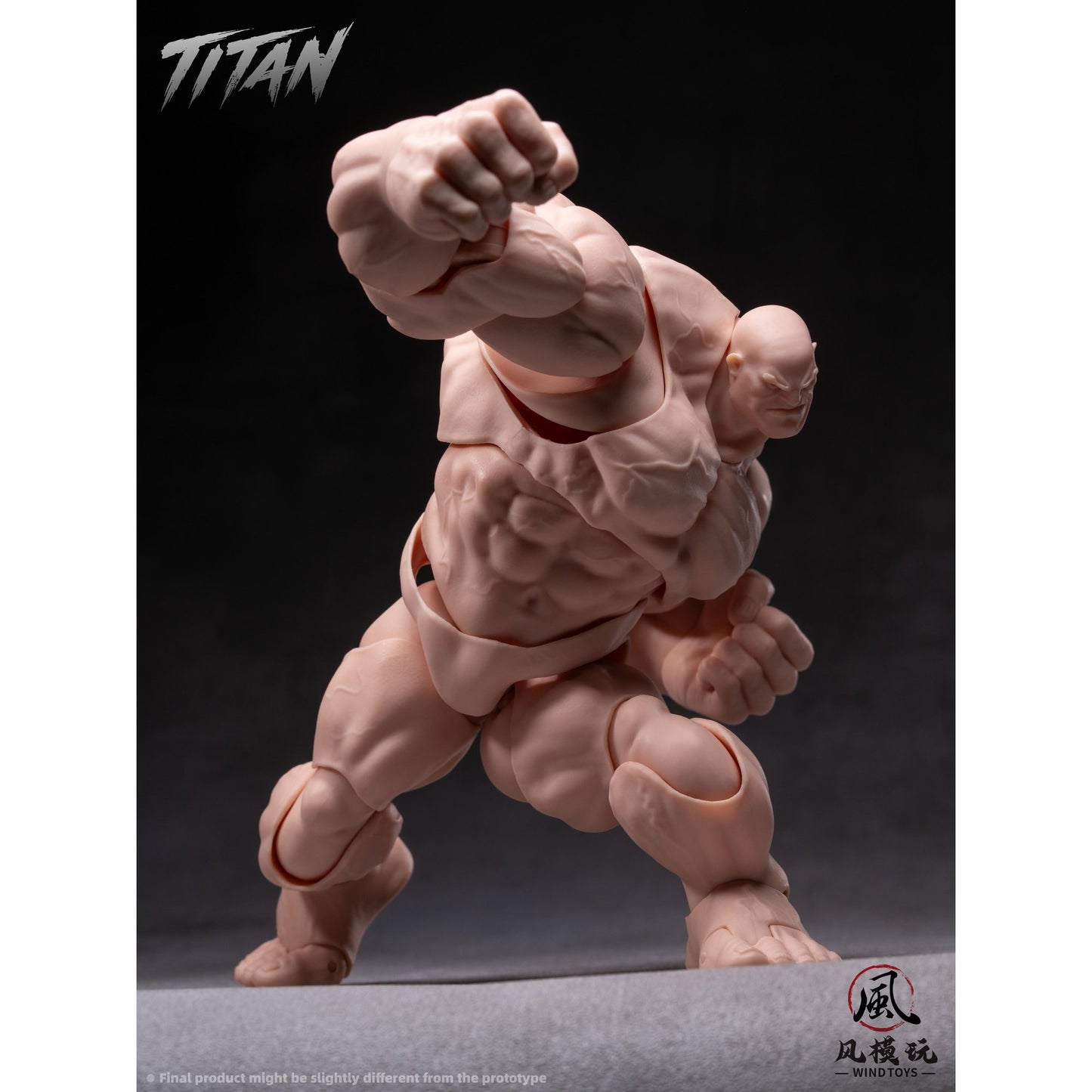 WIND TOYS 1/12スケール 可動フィギュア素体 タイタン FMW009 ノーマル