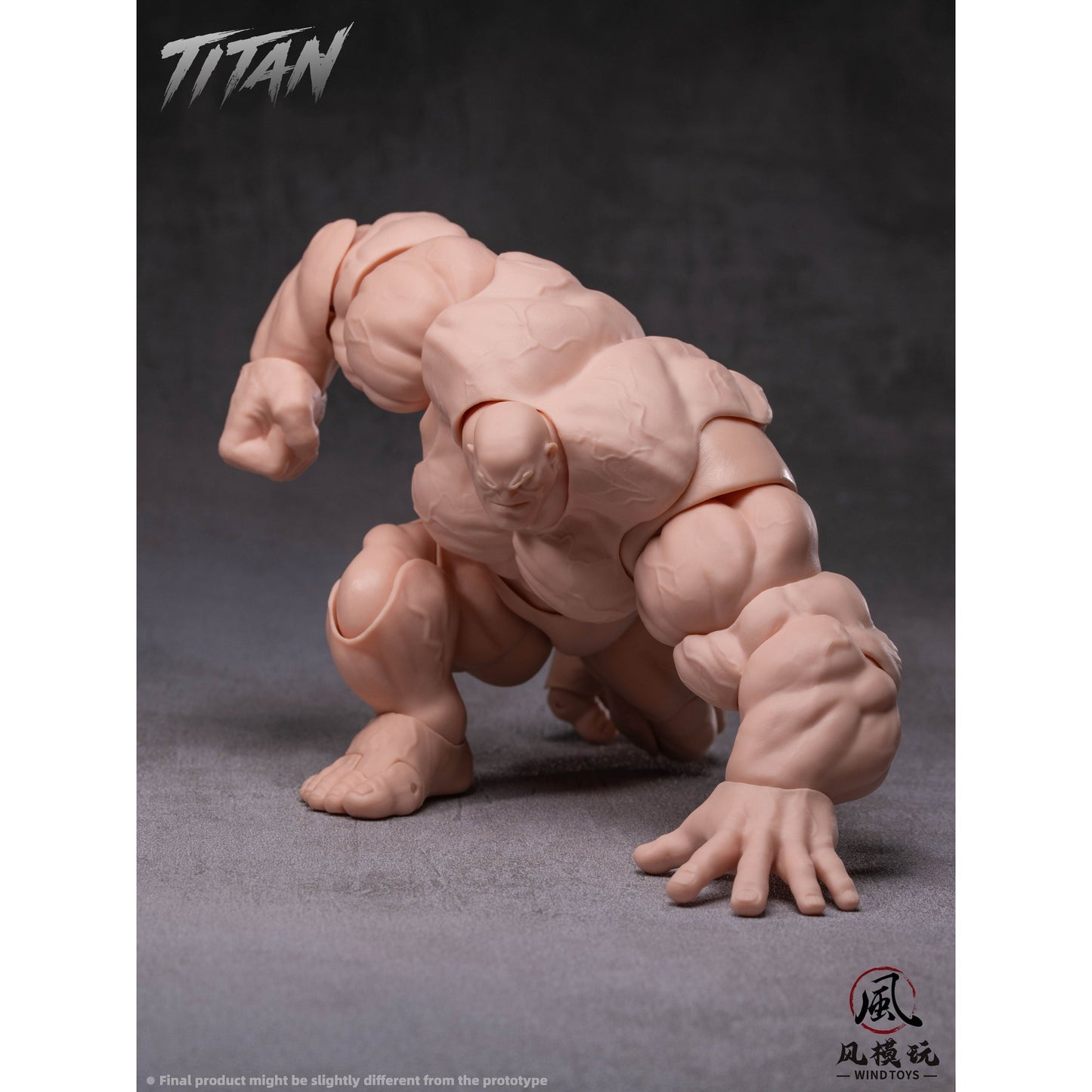 WIND TOYS 1/12スケール 可動フィギュア素体 タイタン FMW009 ノーマル