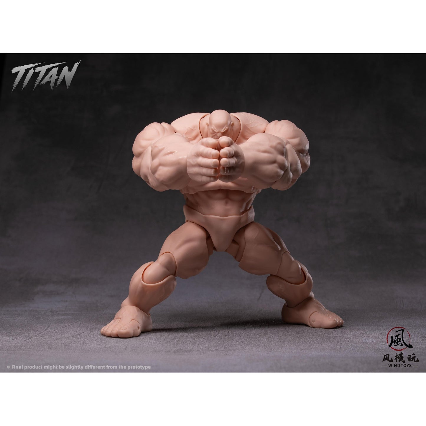 WIND TOYS 1/12スケール 可動フィギュア素体 タイタン FMW009 ノーマル