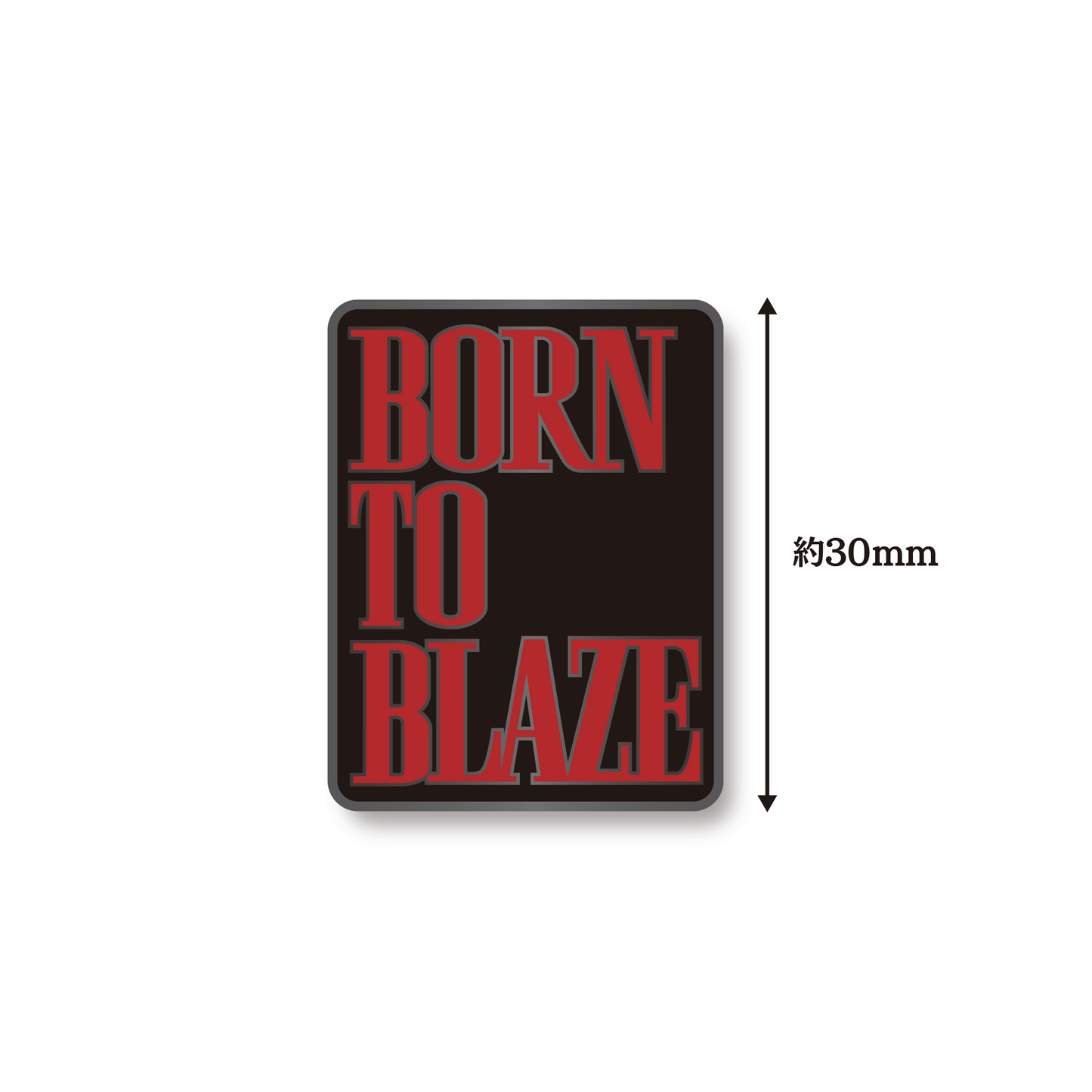 【BORN TO BLAZE】 BORN TO BLAZEピンバッジ