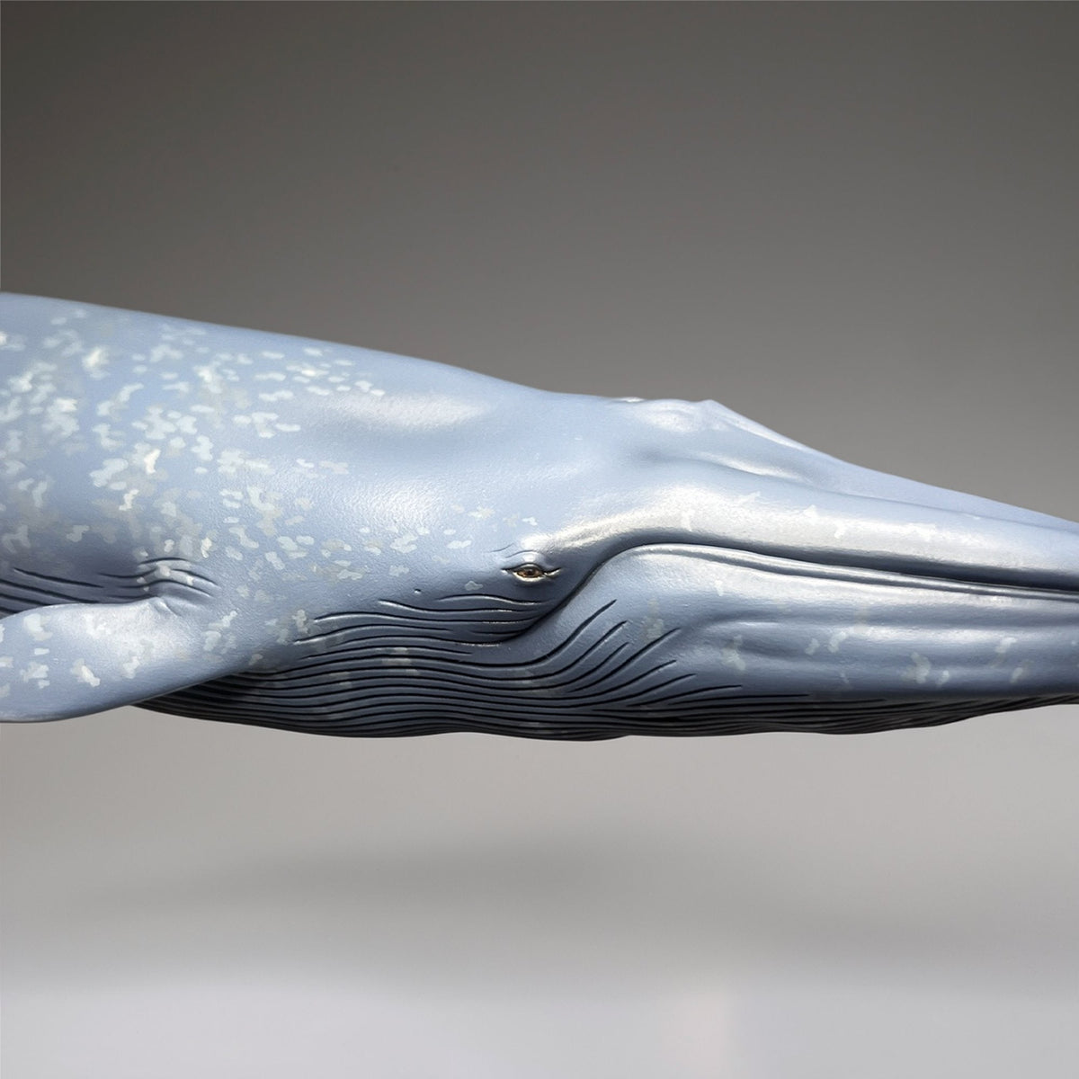 シロナガスクジラ 国立科学博物館 常設展（屋外展示）