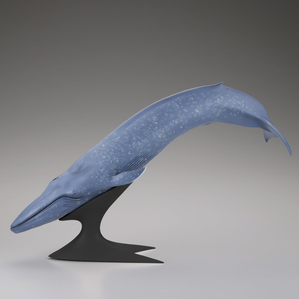 シロナガスクジラ 国立科学博物館 常設展（屋外展示）