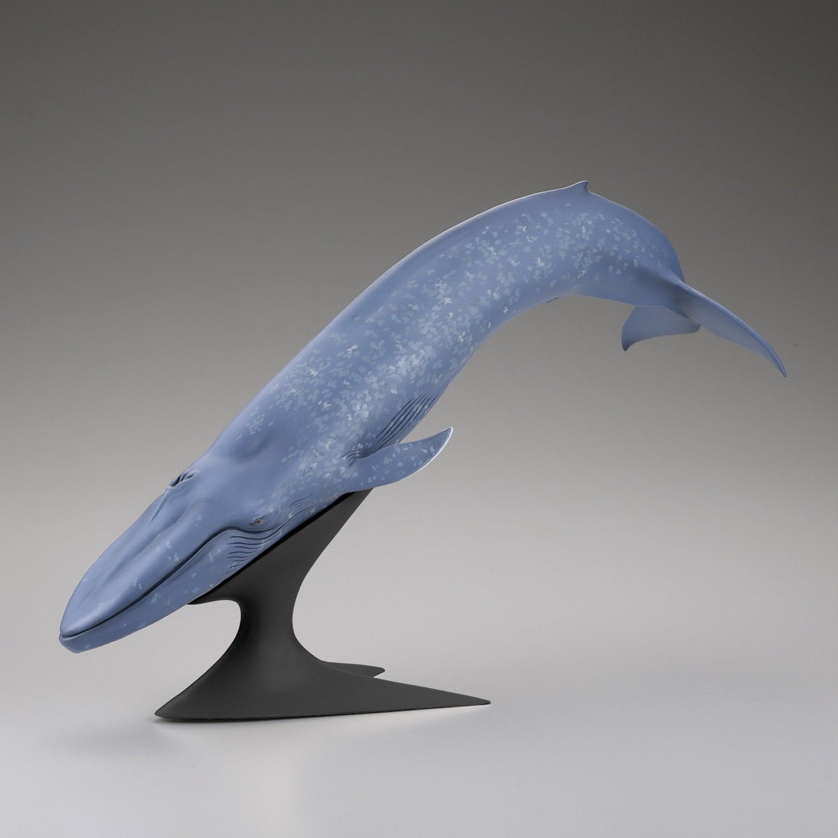シロナガスクジラ 国立科学博物館 常設展（屋外展示）