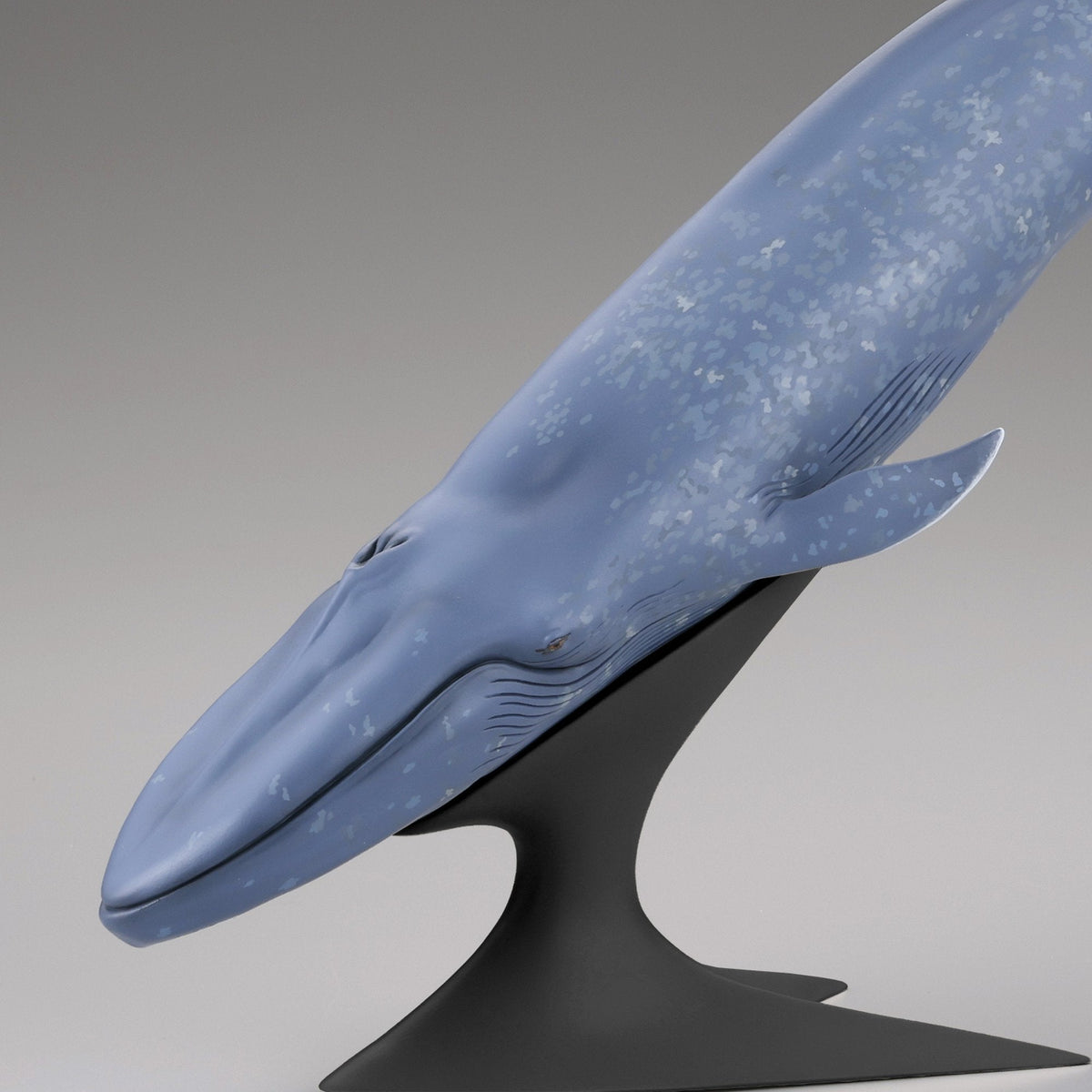 シロナガスクジラ 国立科学博物館 常設展（屋外展示）