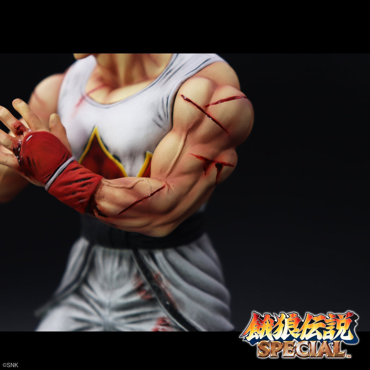 THE KING OF COLLECTORS'24 EX 『餓狼伝説SPECIAL』 「アンディ・ボガード」（HGダメージVer.）