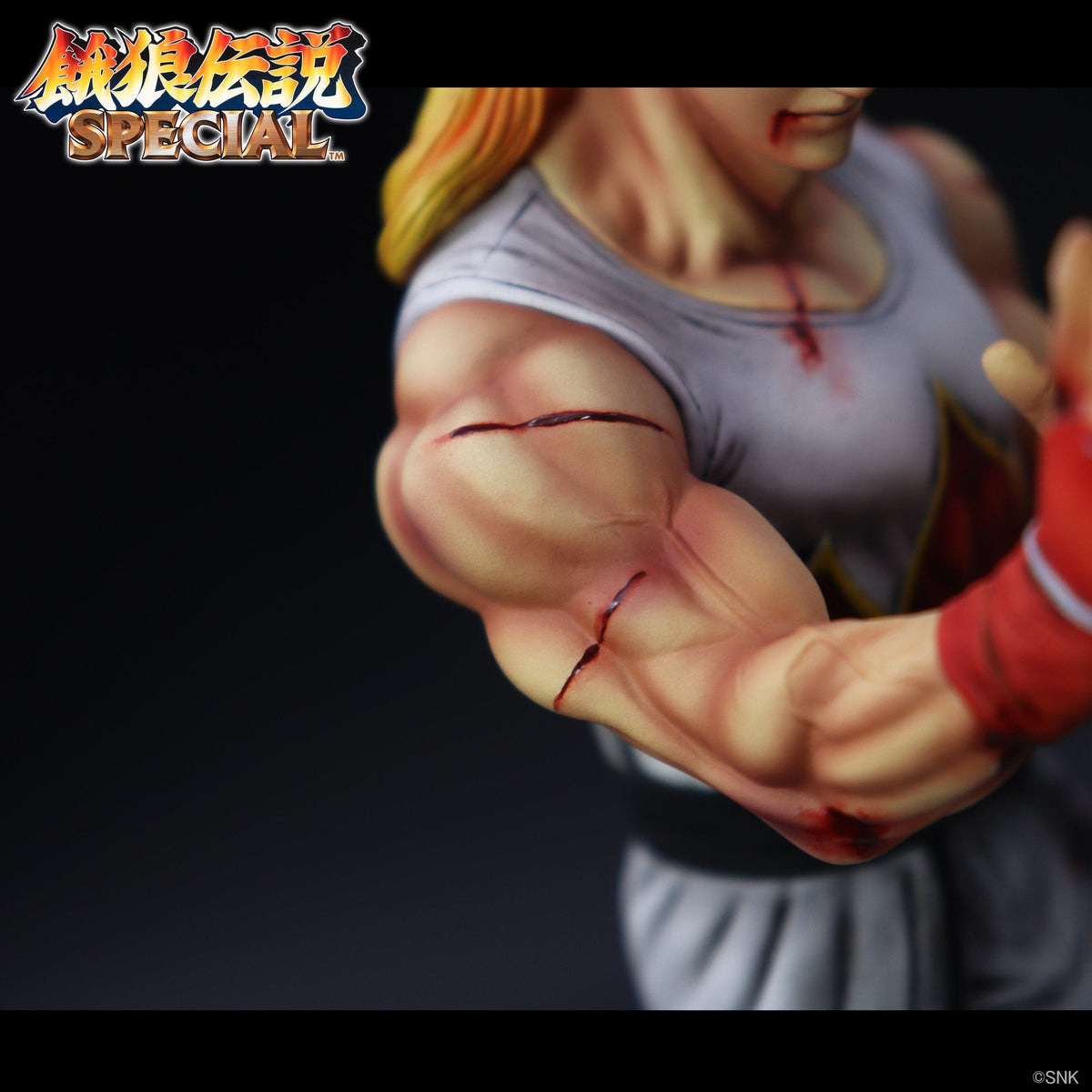 THE KING OF COLLECTORS'24 EX 『餓狼伝説SPECIAL』 「アンディ・ボガード」（HGダメージVer.）